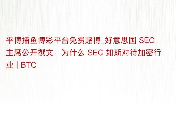 平博捕鱼博彩平台免费赌博_好意思国 SEC 主席公开撰文：为什么 SEC 如斯对待加密行业 | BTC